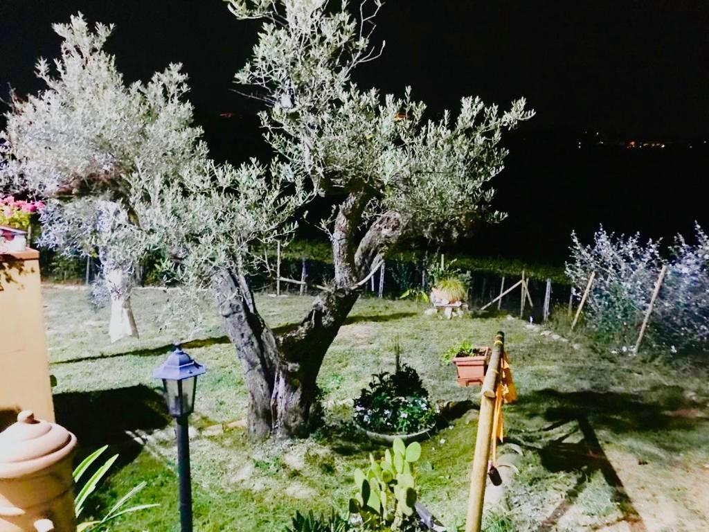 Villa Sarno Montesilvano Luaran gambar
